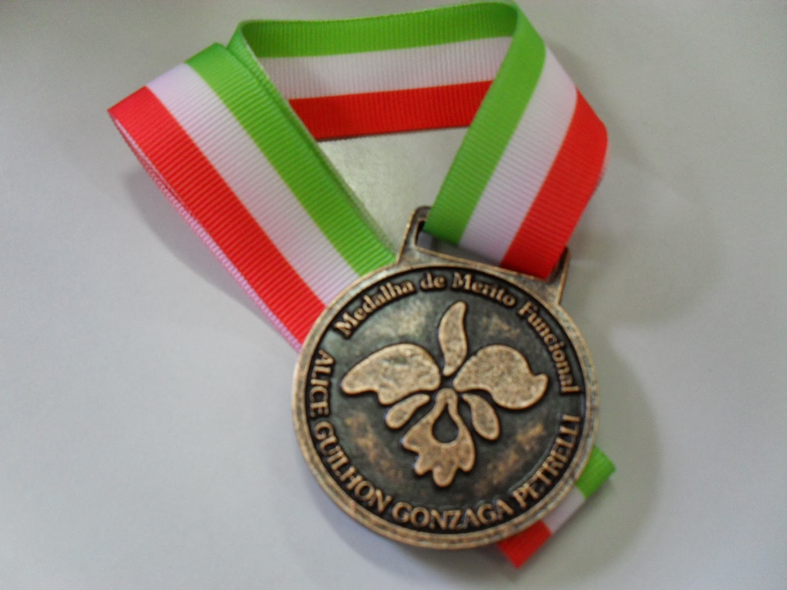 Imagem da Medalha do Mérito Funcional